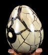 Septarian Dragon Egg Geode - Black Crystals #37289-3